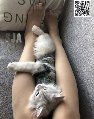 岳好舒服快免费观看狂飙一_高清完整版高清视频观看
