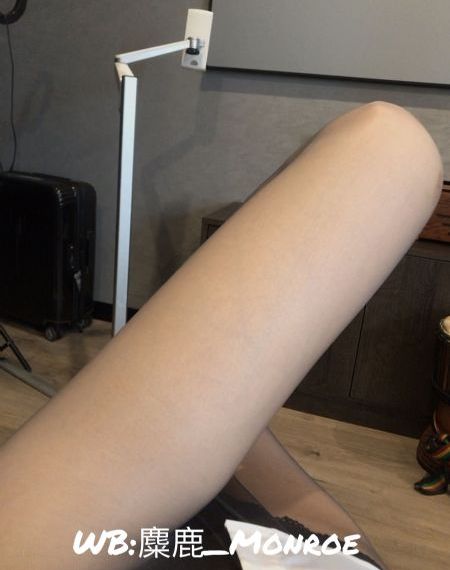 加菲猫家族在线观看_BD免费观看超清