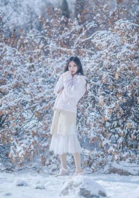 哥斯拉2000_DVD免费全集观看